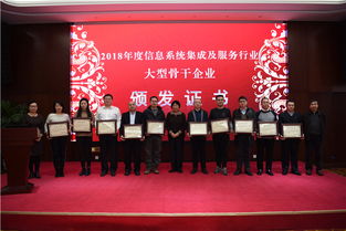 南瑞集團(tuán)榮獲信息系統(tǒng)集成及服務(wù)行業(yè)大型骨干企業(yè)稱號(hào)