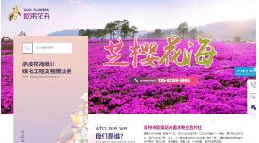 增值服務 espcms易思企業建站 網站模板 響應式建站 小程序開發 seapoa辦公系統